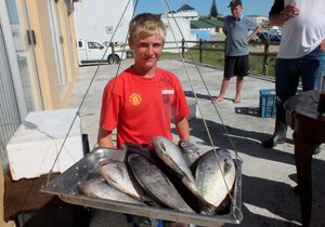 Uiteindelik vir Birkenheaders